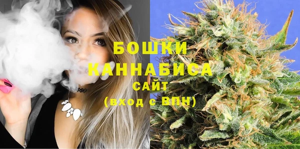 индика Иннополис