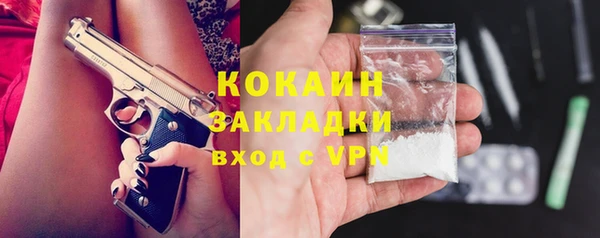 метадон Инта