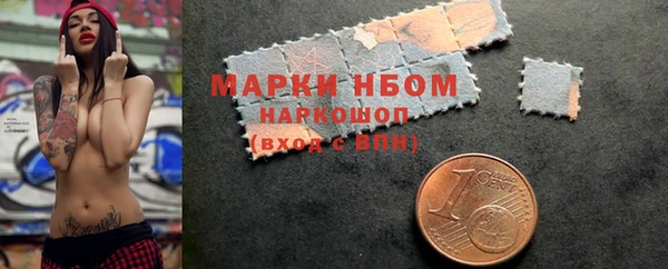 индика Иннополис