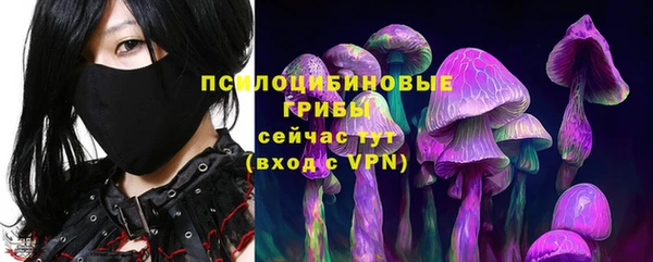 трава Инсар