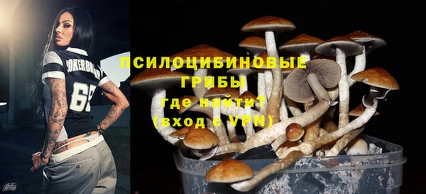 индика Иннополис