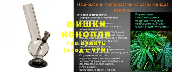 индика Иннополис